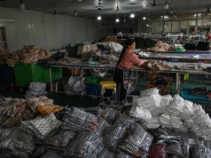 Surowa kara za zakupy na Temu. Zapłaci kupujący