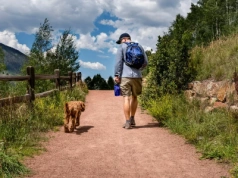 Weekendowy pobyt w górach za darmo. Konkurs dla właścicieli psów