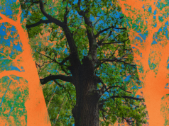 Ostatni krzyk Helu. "To będzie miasto – widmo"