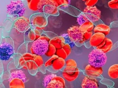 Co dalej z leczeniem hemofilii? Środowisko podzielone w temacie nowoczesnej terapii