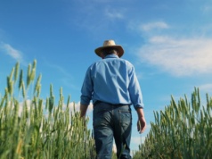 Nowe przepisy ochronią rolników przed egzekucjami podczas restrukturyzacji długu