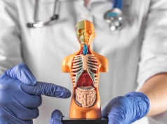 Trudny QUIZ z anatomii. Ile wiesz o własnym organizmie? Sprawdź!