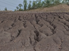 Unikatowe laboratorium bada wpływ uprawy na erozję