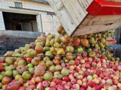 Mniejsze dostawy jabłek przemysłowych w Mołdawii mogą stymulować rynek późną jesienią