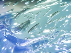 To może być przyszłość robotów. Ten żel zmienia kolor i jest niezwykle elastycznyn