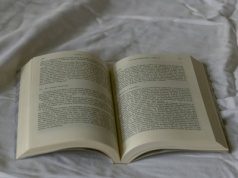 Dziecinnie prosty quiz z wiedzy ogólnej. Nie zdać go to przypał