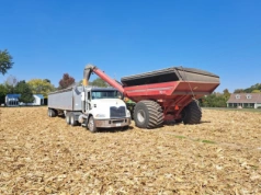 Raport USDA: prawie 10 mln t pszenicy więcej! A co z kukurydzą?