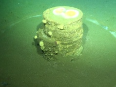 Tysiące beczek na dnie Pacyfiku. Naukowcy odkryli ich zaskakującą zawartość