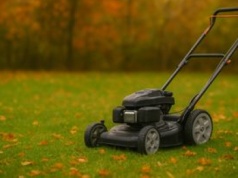 Kiedy ostatni raz skosić trawę przed zimą?