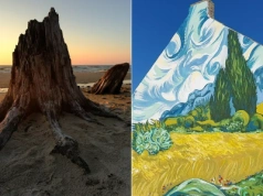 Cuda Polski 2025. Każdy może wybrać ulubione atrakcje z 16 województw