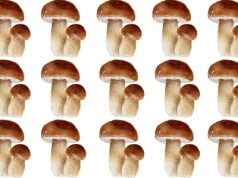 ​Szybki test na spostrzegawczość. Tylko wprawne oko dostrzeże różnicę