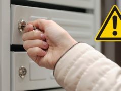 Tajemnicze przesyłki z nasionami w skrzynkach tysięcy osób – eksperci ostrzegają: „Nie otwieraj ich!”