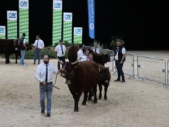 SOMMET DE L‘ÉLEVAGE 2025 francuskie święto hodowców już w październiku!