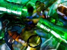 Zrobili wyspę ze starego szkła. Coś zaczęło na niej rosnąć