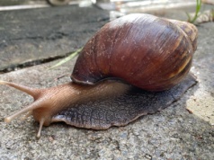 Ceny mieszkań jeszcze sobie popełzają. „Stabilizacja co najmniej do końca roku”