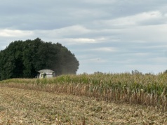Jakie ceny usług we wrześniu? Ile za koszenie, orkę i siew?