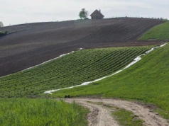 Jak dobrze podzielić majątek w razie rozwodu?