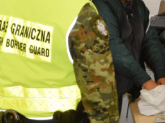 Zatrzymali Ukrainkę na granicy. Funkcjonariusze przecierali oczy ze zdumienia