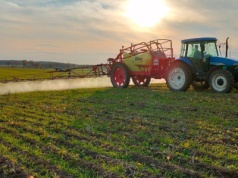 Termin odchwaszczania zbóż ozimych – jak dobrać strategię do siewu i pogody