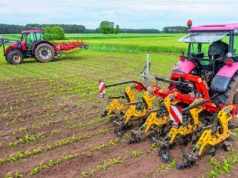 Jaką maszynę wybrać do odchwaszczania: bronę czy pielnik?