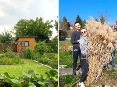 Kupili działkę ROD za 11 tys. zł. Sąsiedzi zza płotu mówili "stop"