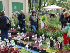 Zabezpieczone: Już 27 i 28 września kolejna odsłona Kiermaszu Ogrodniczego na Partynicach. Jesienne ogrody znów zachwycą.