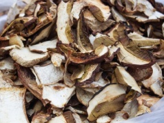 Suszone grzyby pleśnieją? To znak, że popełniasz ten błąd
