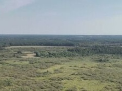 Trzy nowe rezerwaty przyrody na Lubelszczyźnie