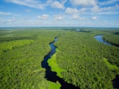 Lubelskie lasy pod większą ochroną. Utworzono trzy nowe rezerwaty