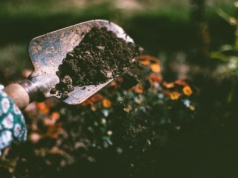 Obornik granulowany - wygodne źródło składników dla zdrowej gleby