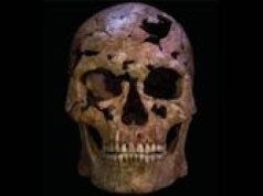 Odkryto kości w Wietnamie. Mogą być najstarszej ofiary morderstwa