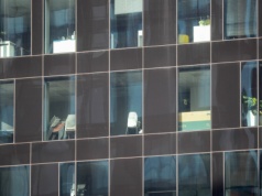 Wielki przegląd śmieciówek w firmach. Boją się kontroli PIP