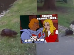 Poznań: do parku miejskiego wprowadziły się wielkie wiewiórki wodne, czyli bobry