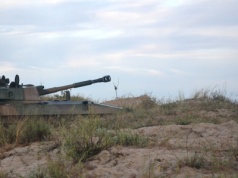 Goździki strzelają na wybrzeżu