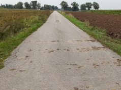 Błoto na drodze. Kto powinien sprzątać? Rolnik czy zamiatarka?