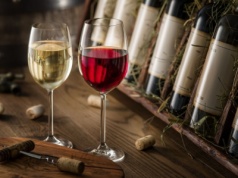 Z wina do paliwa – czy odpady winiarskie mogą zasilać nowoczesne technologie?
