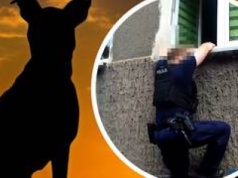 Wrocław: Sąsiedzi zadzwonili na policję, bo 42-latek nie wyszedł z psem. Uratowali mu życie [WIDEO]