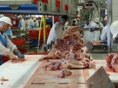 USA: przez deportacje brakuje rąk do pracy. Produkcja żywności może się załamać.