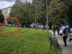 Cały Kraków próbuje złapać kangura. Na razie bezskutecznie