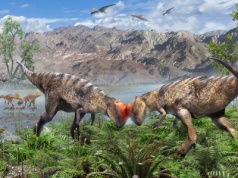 Kompletna czaszka dinozaura przesuwa historię. Odkrycie z Mongolii wstrząsnęło paleontologami