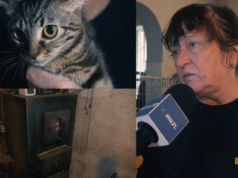 Stary piec do wymiany. Będzie zbiórka na nowy, aby koty nie marzły zimą