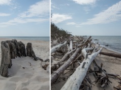 Zatopiony las w Czołpinie
