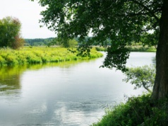 Sulejów z nową atrakcją. Będzie droga rowerowa wzdłuż Pilicy