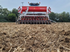 Jakie mamy terminy siewu zbóż ozimych?