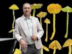 Grzybnia kontra fast fashion. Czym zajmuje się Myco Renew?