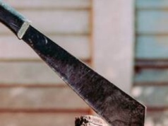 Wrocław: 25-latek z maczetą zaatakował przechodnia w parku