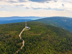 Łatwy szczyt na pierwszą wycieczkę w Sudety. Należy do Korony Gór Dolnego Śląska