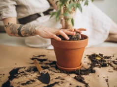 Ekologiczny festiwal w Warcie. „Odpady będzie można wymienić na nagrody”