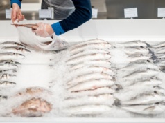 W październiku rusza nabór wniosków na dofinansowanie dla Rybactwa. Pula środków to ok. 3 mln zł