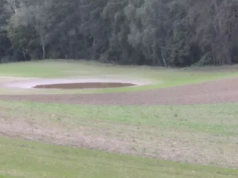 Jak idą siewy ozimin? Raport z regionów